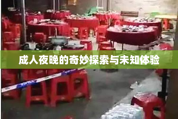 成人夜晚的奇妙探索与未知体验