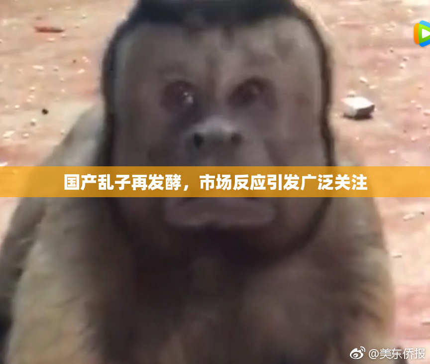 国产乱子再发酵，市场反应引发广泛关注