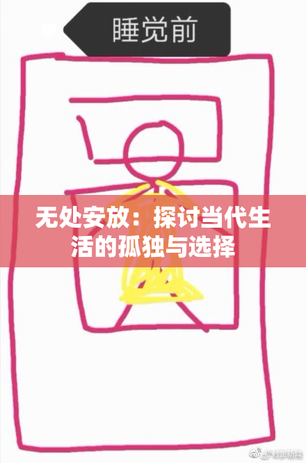 无处安放：探讨当代生活的孤独与选择