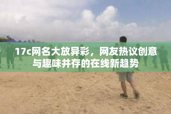 17c网名大放异彩，网友热议创意与趣味并存的在线新趋势