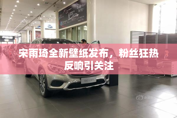 宋雨琦全新壁纸发布，粉丝狂热反响引关注