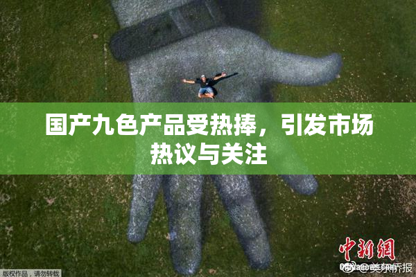 国产九色产品受热捧，引发市场热议与关注
