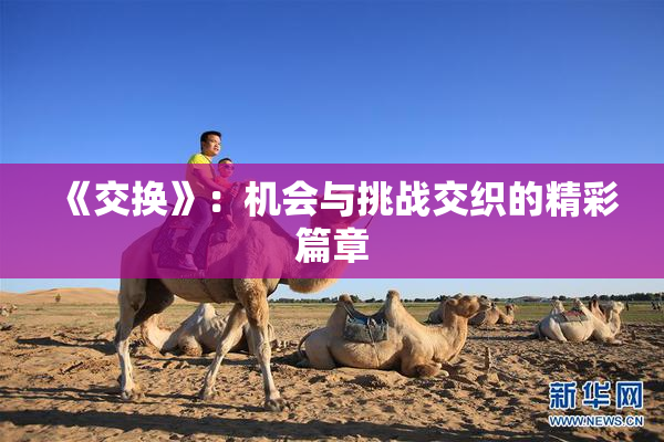《交换》：机会与挑战交织的精彩篇章