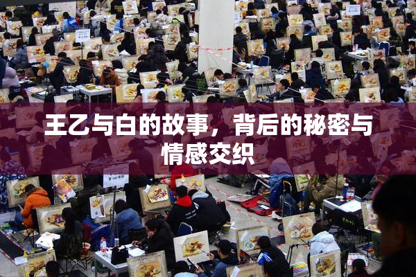 王乙与白的故事，背后的秘密与情感交织