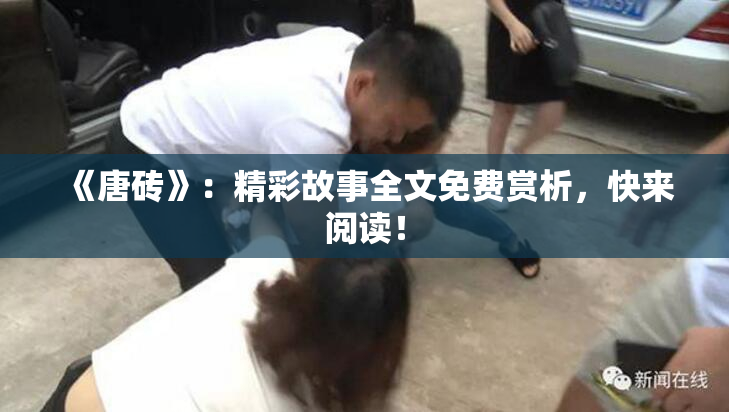 《唐砖》：精彩故事全文免费赏析，快来阅读！