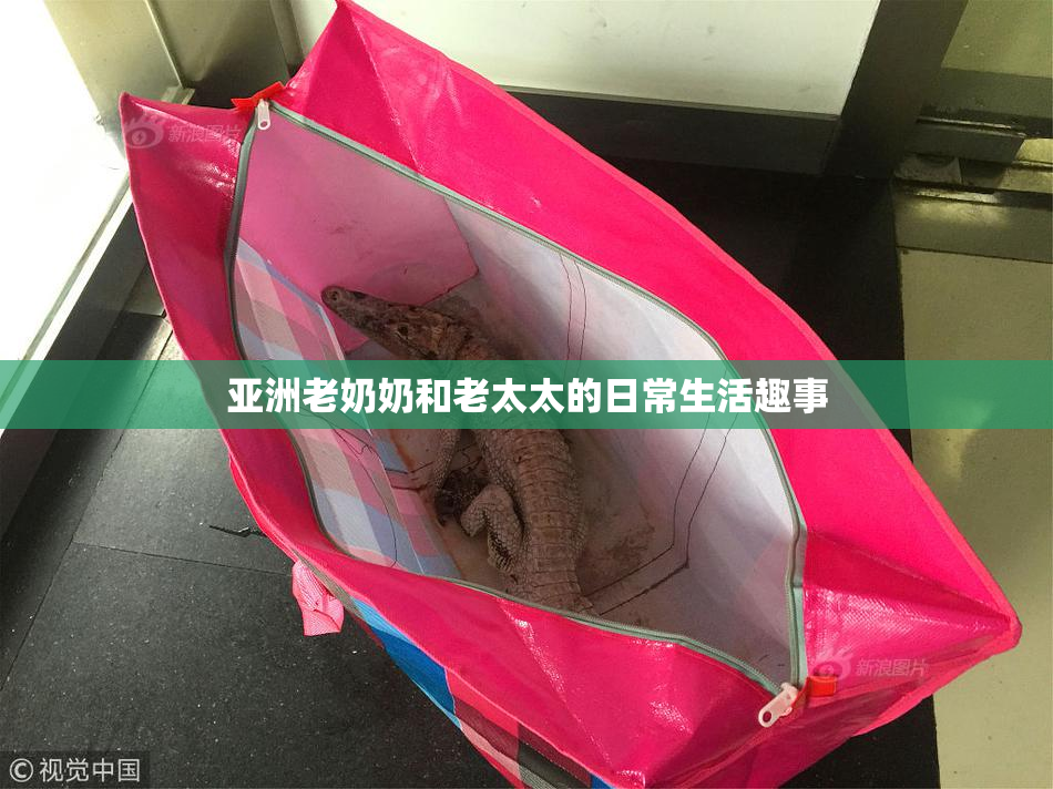 亚洲老奶奶和老太太的日常生活趣事
