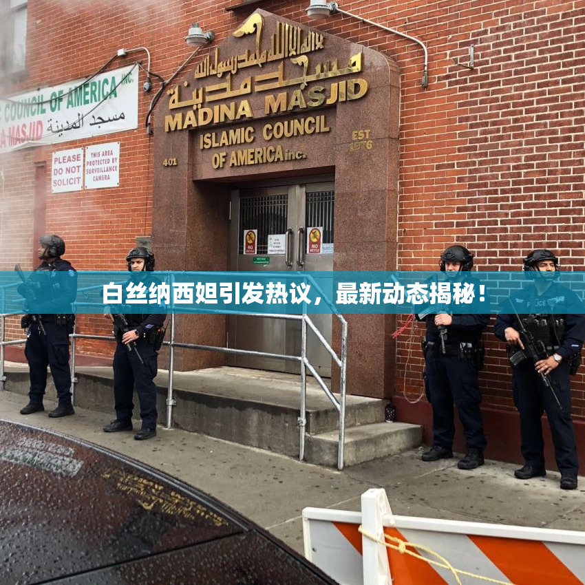 白丝纳西妲引发热议，最新动态揭秘！