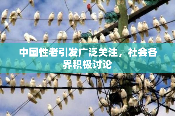 中国性老引发广泛关注，社会各界积极讨论