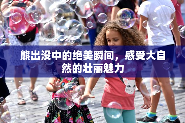 熊出没中的绝美瞬间，感受大自然的壮丽魅力