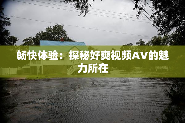 畅快体验：探秘好爽视频AV的魅力所在