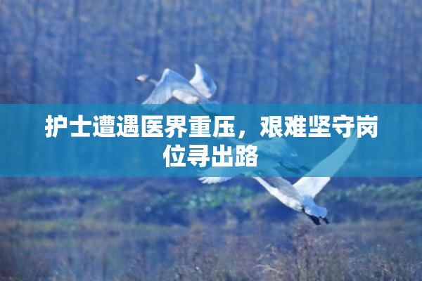 护士遭遇医界重压，艰难坚守岗位寻出路