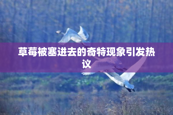 草莓被塞进去的奇特现象引发热议