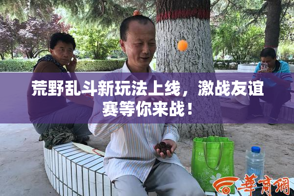 荒野乱斗新玩法上线，激战友谊赛等你来战！