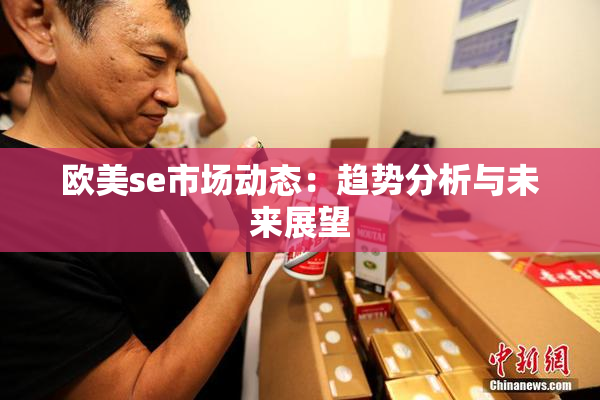 欧美se市场动态：趋势分析与未来展望