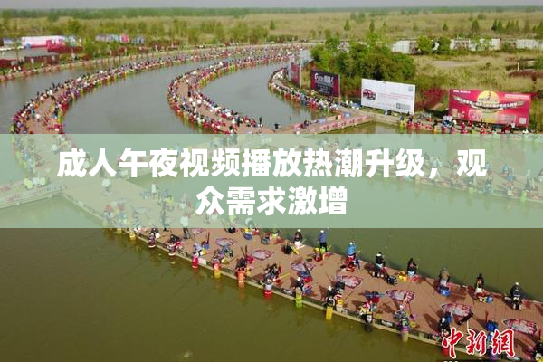 成人午夜视频播放热潮升级，观众需求激增