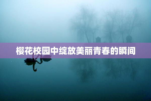 樱花校园中绽放美丽青春的瞬间