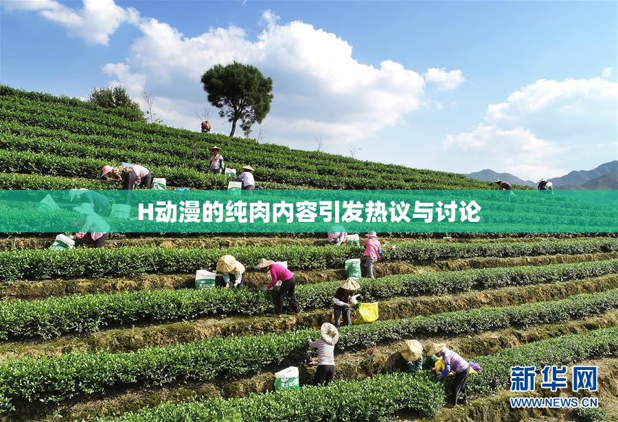 H动漫的纯肉内容引发热议与讨论