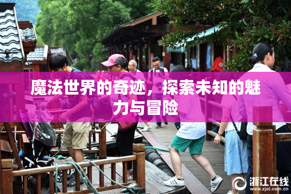 魔法世界的奇迹，探索未知的魅力与冒险