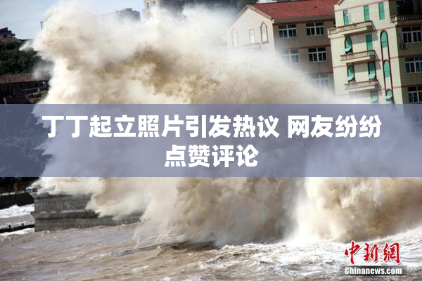 丁丁起立照片引发热议 网友纷纷点赞评论