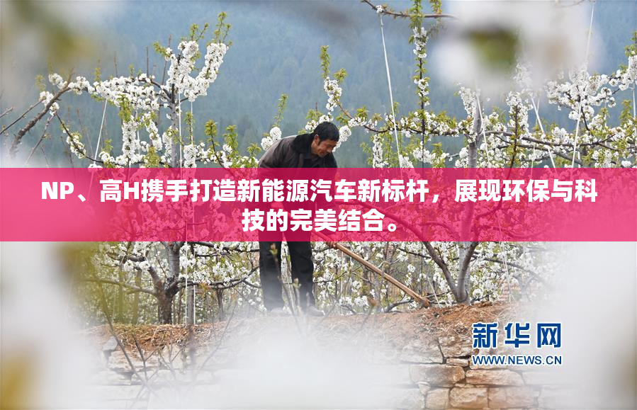 NP、高H携手打造新能源汽车新标杆，展现环保与科技的完美结合。