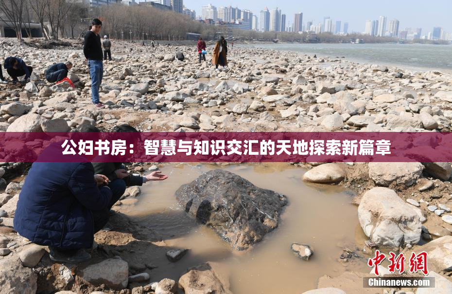 公妇书房：智慧与知识交汇的天地探索新篇章