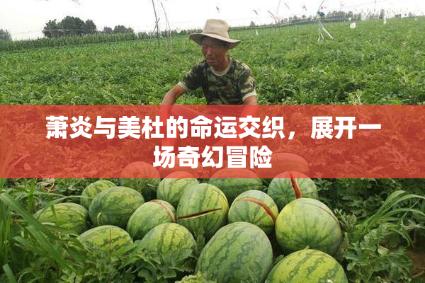 萧炎与美杜的命运交织，展开一场奇幻冒险