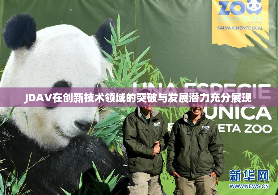 JDAV在创新技术领域的突破与发展潜力充分展现