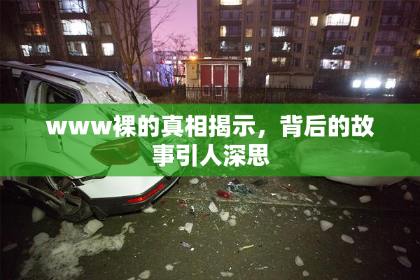 www裸的真相揭示，背后的故事引人深思