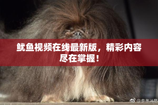 鱿鱼视频在线最新版，精彩内容尽在掌握！