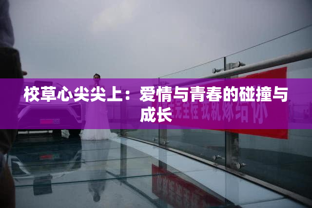 校草心尖尖上：爱情与青春的碰撞与成长