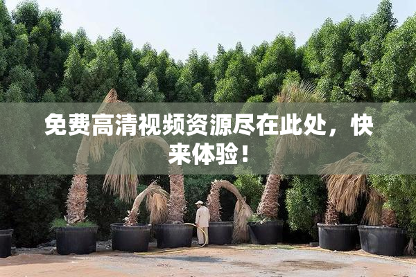 免费高清视频资源尽在此处，快来体验！
