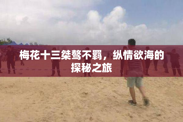 梅花十三桀骜不羁，纵情欲海的探秘之旅