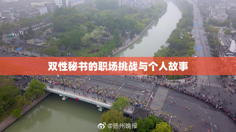 双性秘书的职场挑战与个人故事