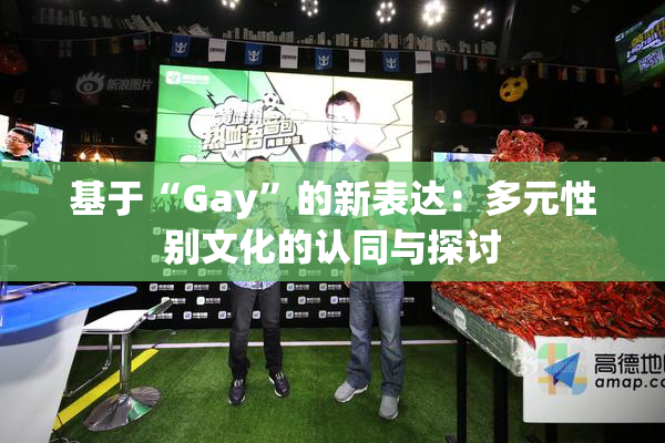 基于“Gay”的新表达：多元性别文化的认同与探讨
