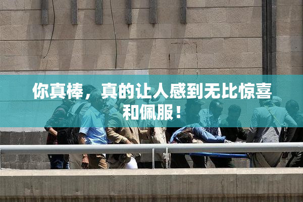 你真棒，真的让人感到无比惊喜和佩服！