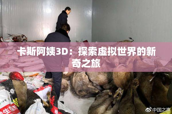 卡斯阿姨3D：探索虚拟世界的新奇之旅