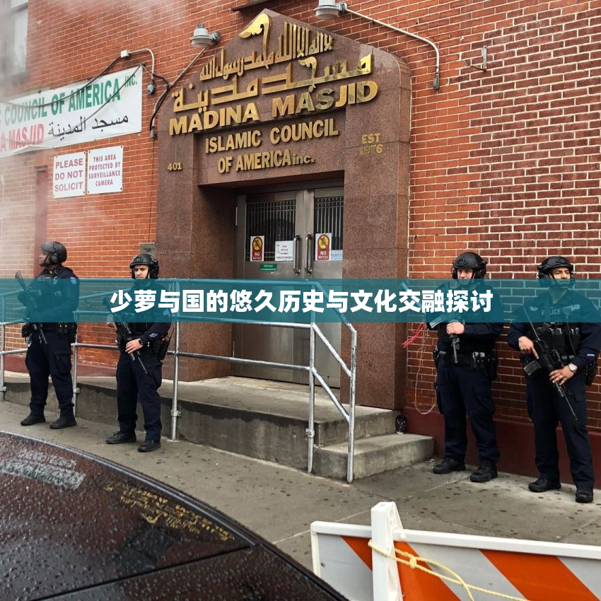 少萝与国的悠久历史与文化交融探讨