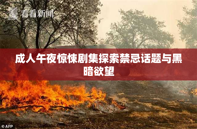 成人午夜惊悚剧集探索禁忌话题与黑暗欲望