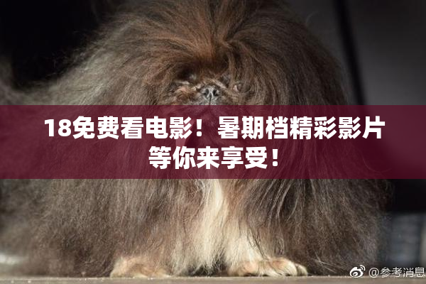 18免费看电影！暑期档精彩影片等你来享受！
