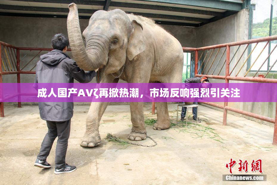 成人国产AVζ再掀热潮，市场反响强烈引关注