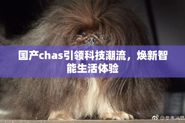 国产chas引领科技潮流，焕新智能生活体验