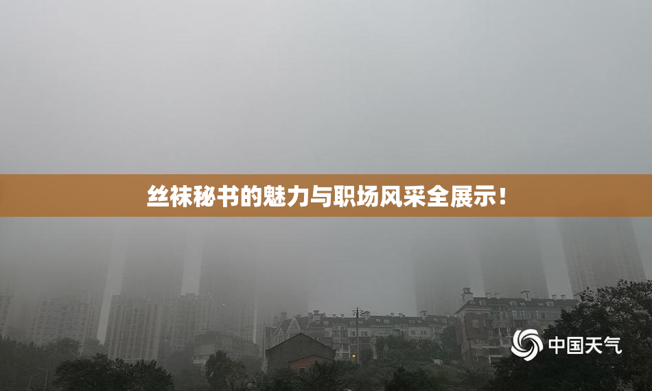 丝袜秘书的魅力与职场风采全展示！