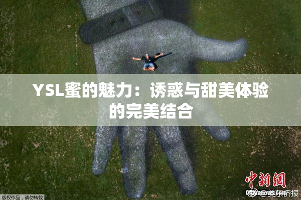 YSL蜜的魅力：诱惑与甜美体验的完美结合