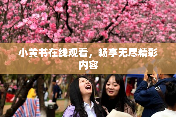 小黄书在线观看，畅享无尽精彩内容