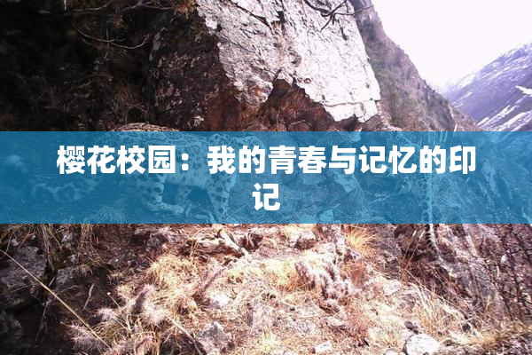 樱花校园：我的青春与记忆的印记