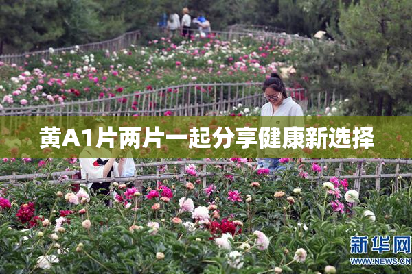 黄A1片两片一起分享健康新选择