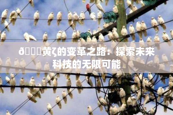 🔞黄ζ的变革之路：探索未来科技的无限可能