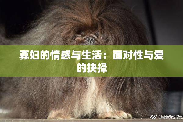 寡妇的情感与生活：面对性与爱的抉择