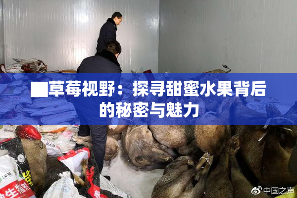 ▇草莓视野：探寻甜蜜水果背后的秘密与魅力