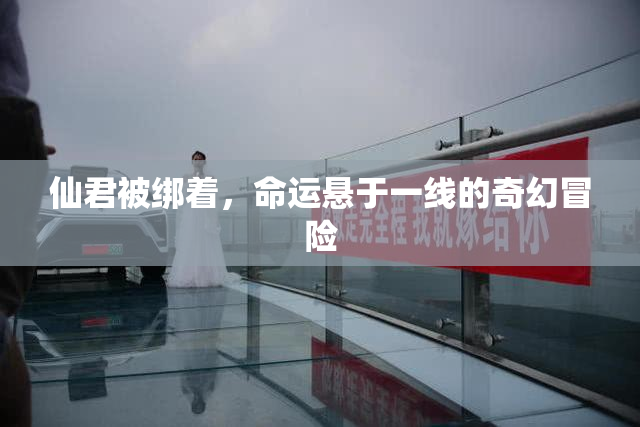 仙君被绑着，命运悬于一线的奇幻冒险